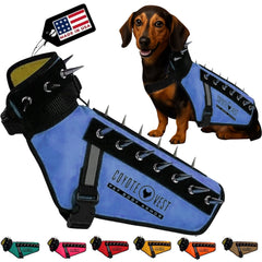 CoyoteVest XXS dog harness front view in royal blue for enhanced outdoor protection.