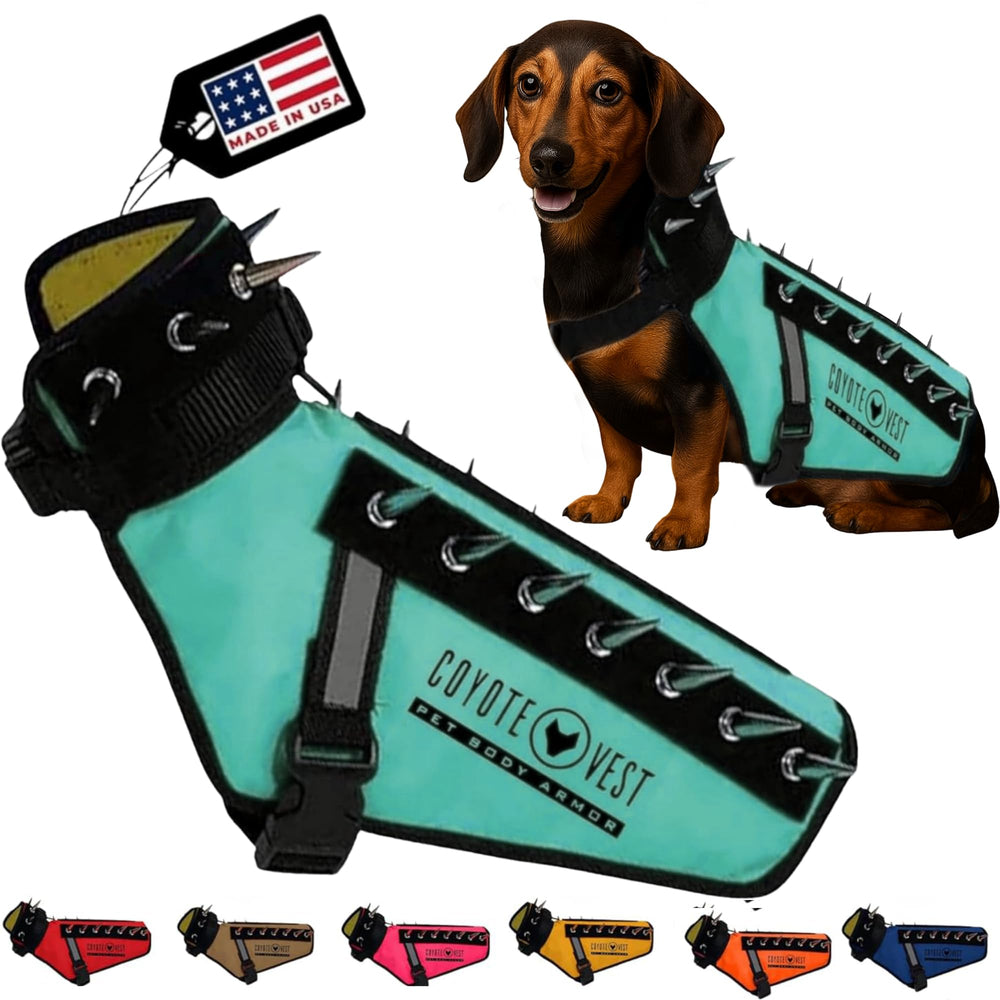 CoyoteVest XX-Small Turquoise front view shows protective fit for small dogs and visibility benefits.