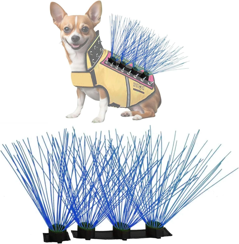 CoyoteWhiskers blue-bristles-on-vest enhance visibility and deterrence during walks.