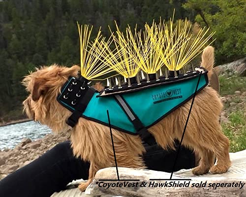 CoyoteWhiskers blue bristles detail the product’s lightweight construction and durability.