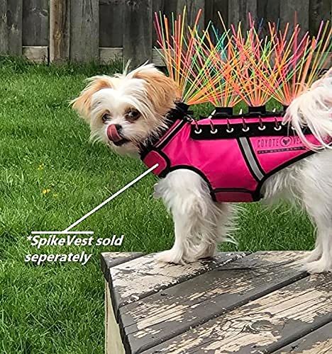 CoyoteWhiskers worn on dog vest adds a bold, high-visibility accessory.