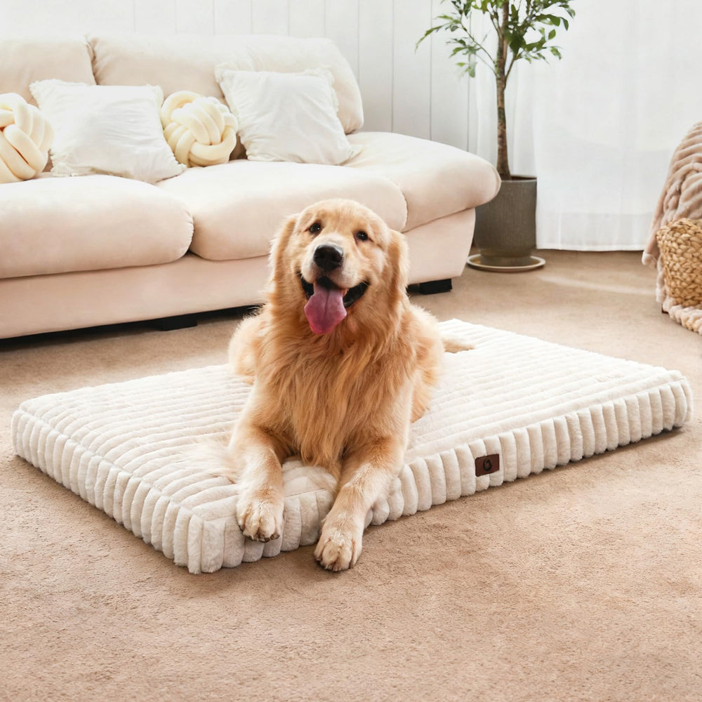 Cozila extralarge dog bed with egg crate foam for cloud-like joint support.