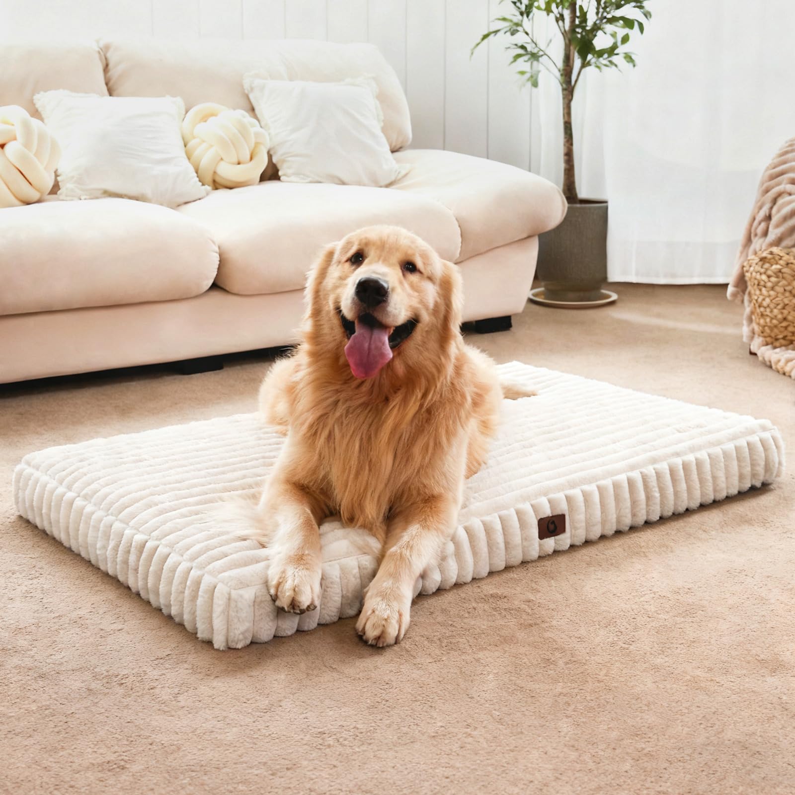 Cozila dog bed large foam-core closeup shows supportive comfort for large dogs