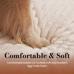 Cozila dog bed removable cover demonstrates machine washable convenience
