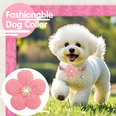 COZIRAE cotton dog collar with buckle and D-ring for durability.