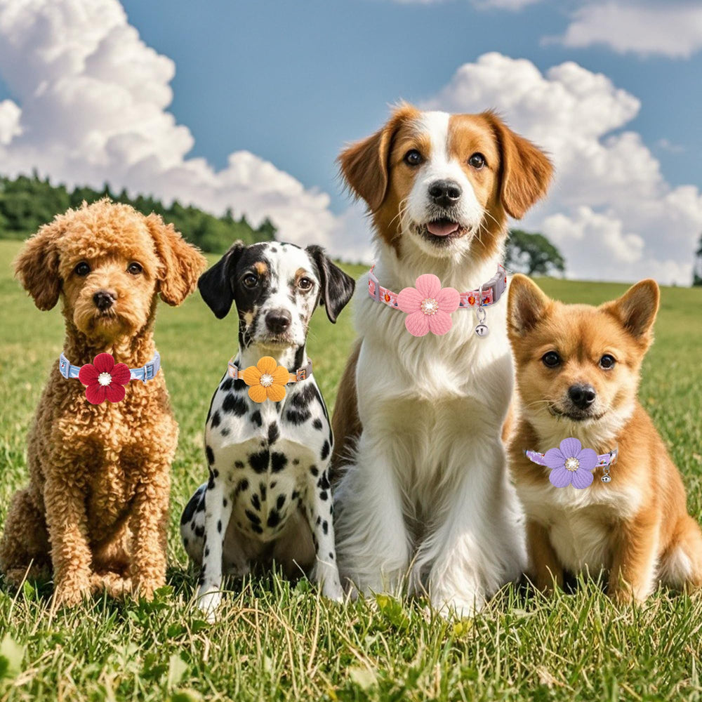 COZIRAE floral collar worn in a park-ready look for photoshoots or special occasions.