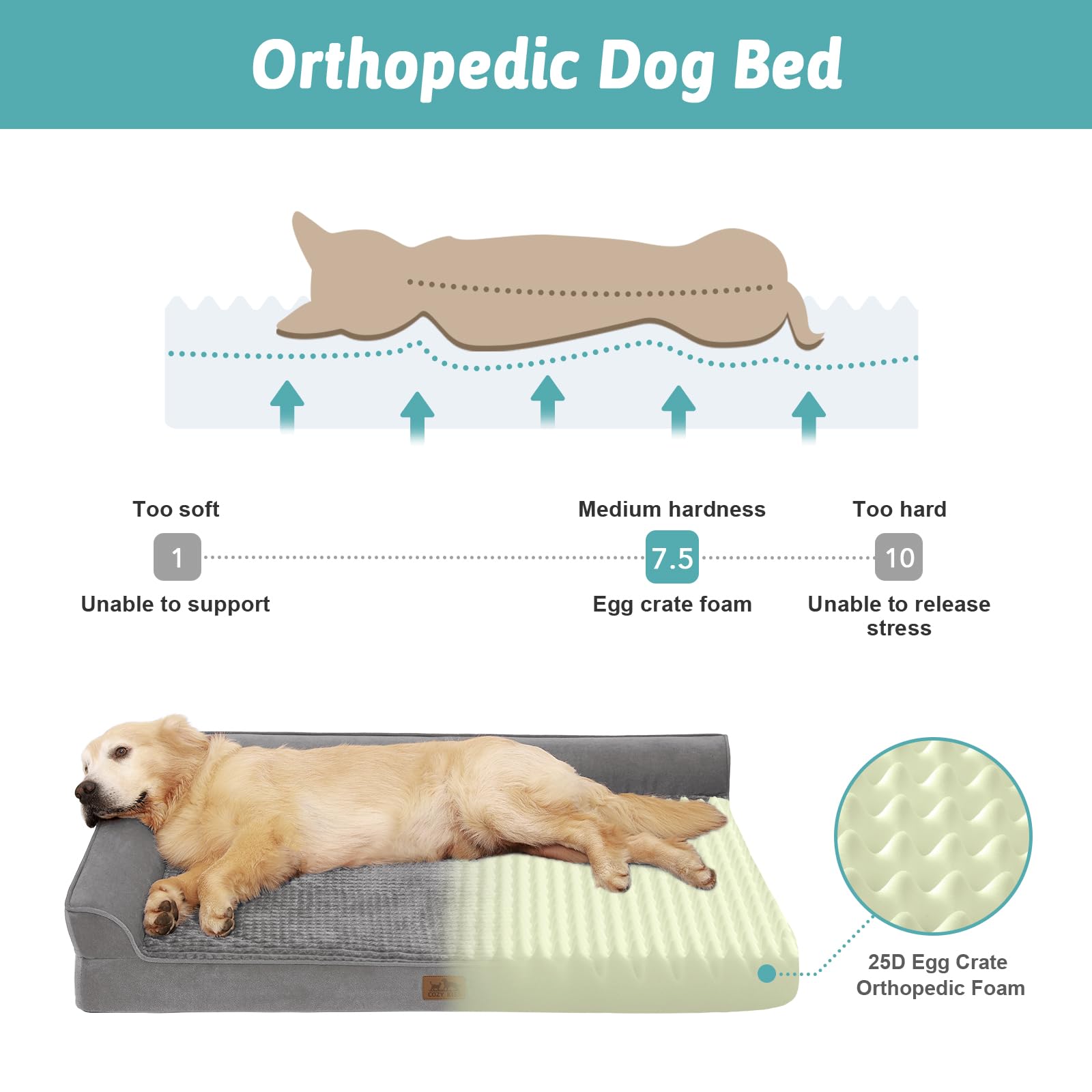 COZY KISS orthopedic bed side view demonstrates 7.5-inch height for robust support