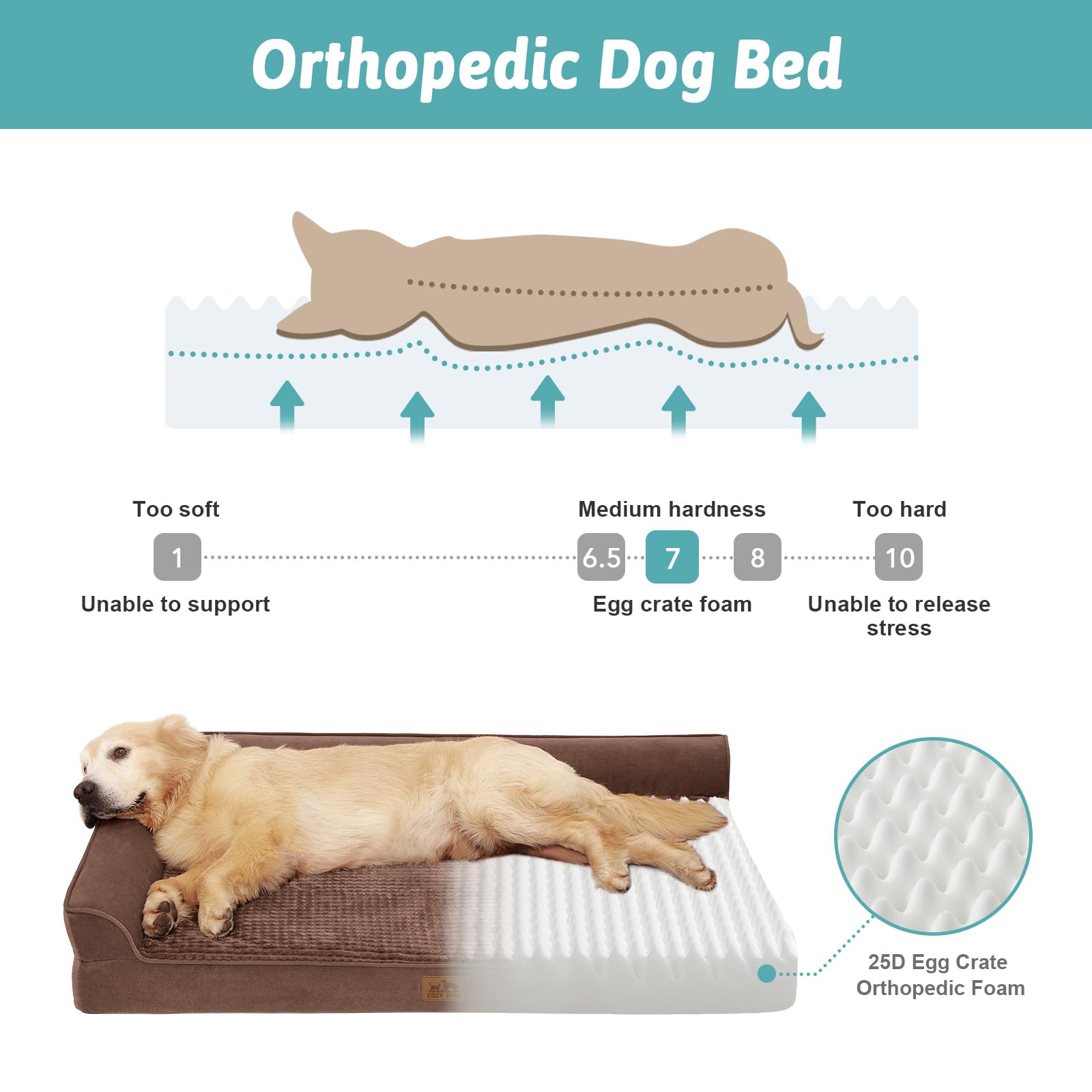 COZY KISS orthopedic dog bed foam-core close-up highlights high-density foam comfort