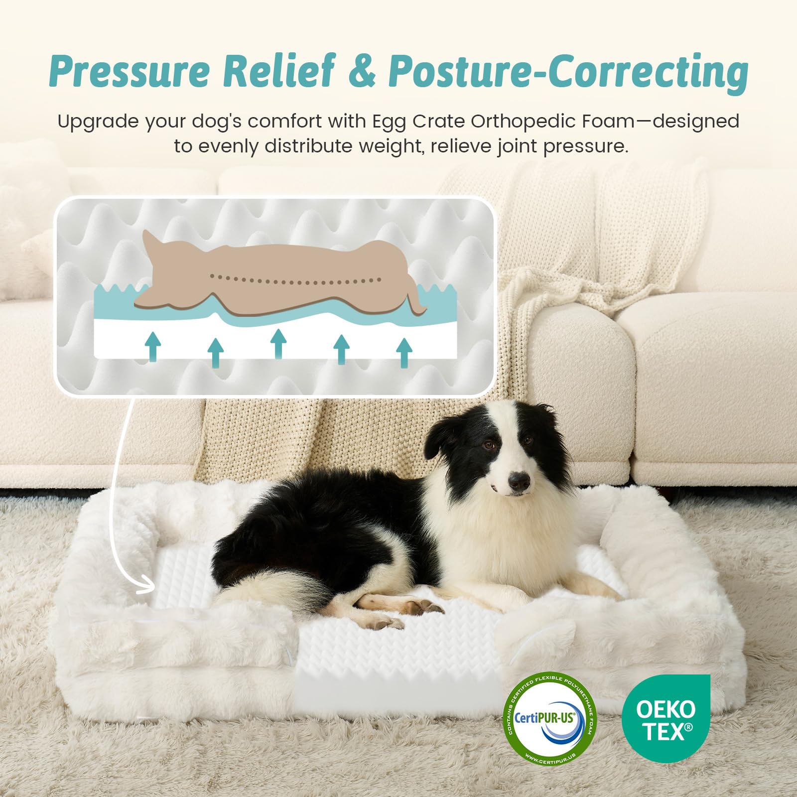 COZY KISS orthopedic dog bed top view in beige highlighting three-sided bolsters for neck support.