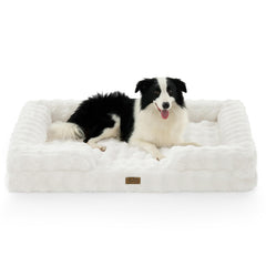 COZY KISS XXL orthopedic bed front view shows ample space for large dogs.