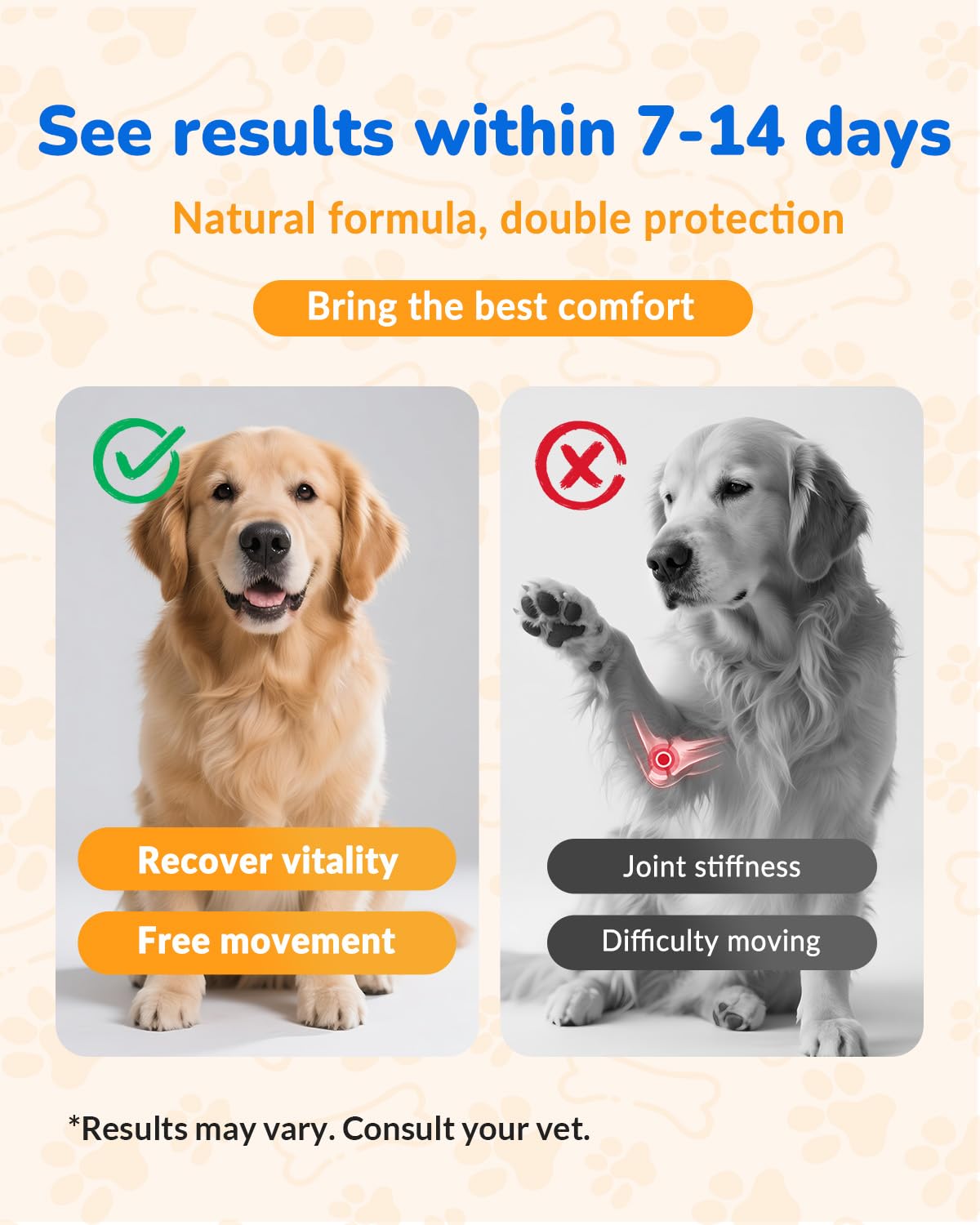 Cozyfun 260-chew bottle reflects a long-lasting supply for dogs.