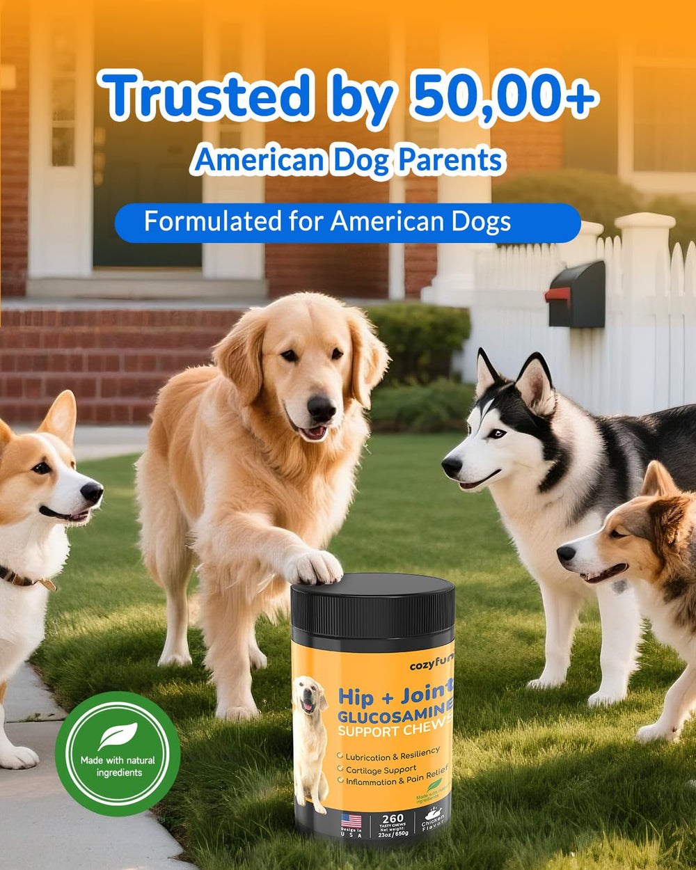 Cozyfun chicken-flavored chews shown as palatable daily joint care.