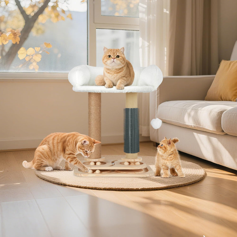 Cozyipet easy assembly—clear instructions help you set up quickly