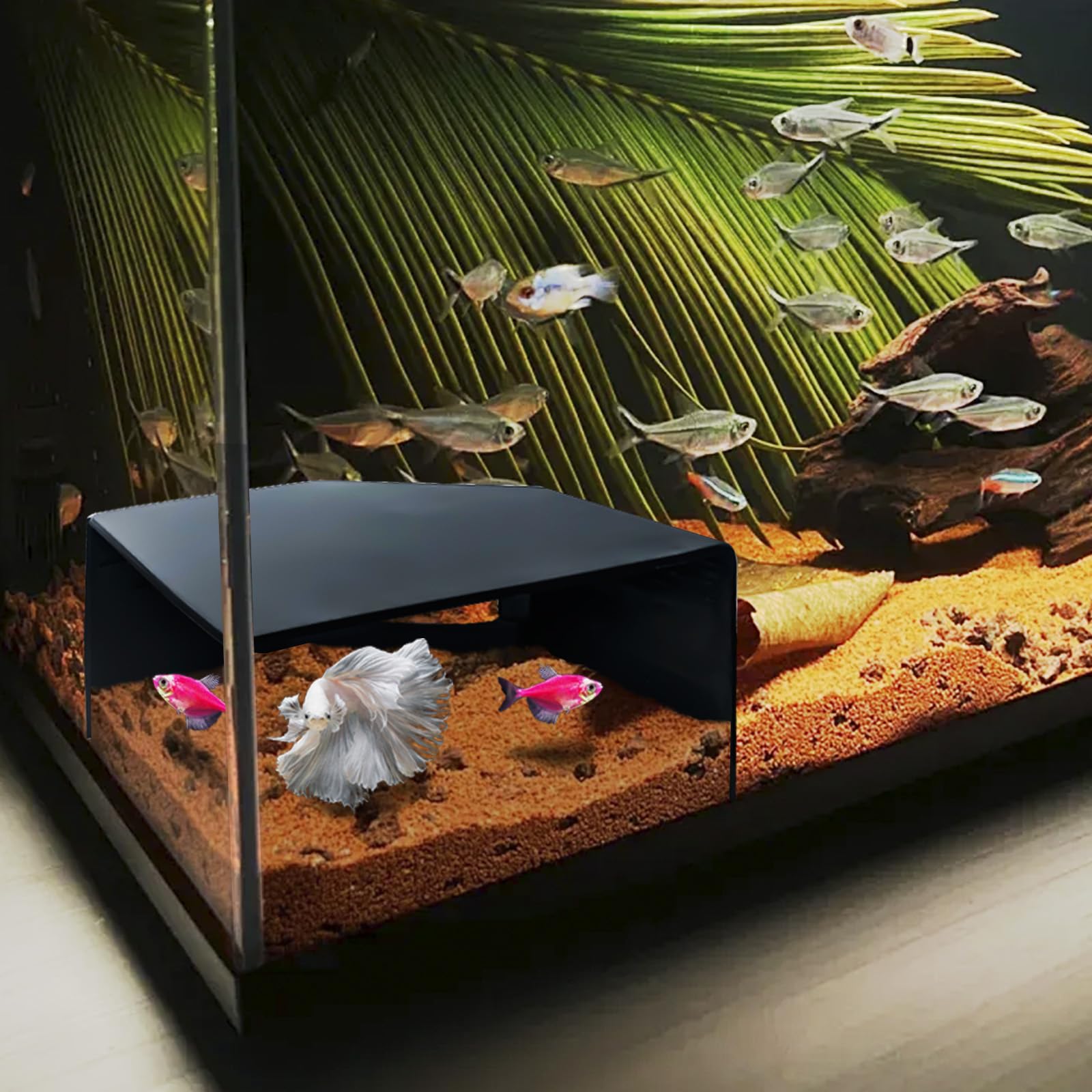 CPLIKE Aquarium Corner Cave hides axolotls with safe privacy and clear viewing window