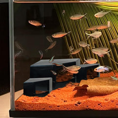 CPLIKE Aquarium Corner Cave viewing window lets easy observation without disturbing pets