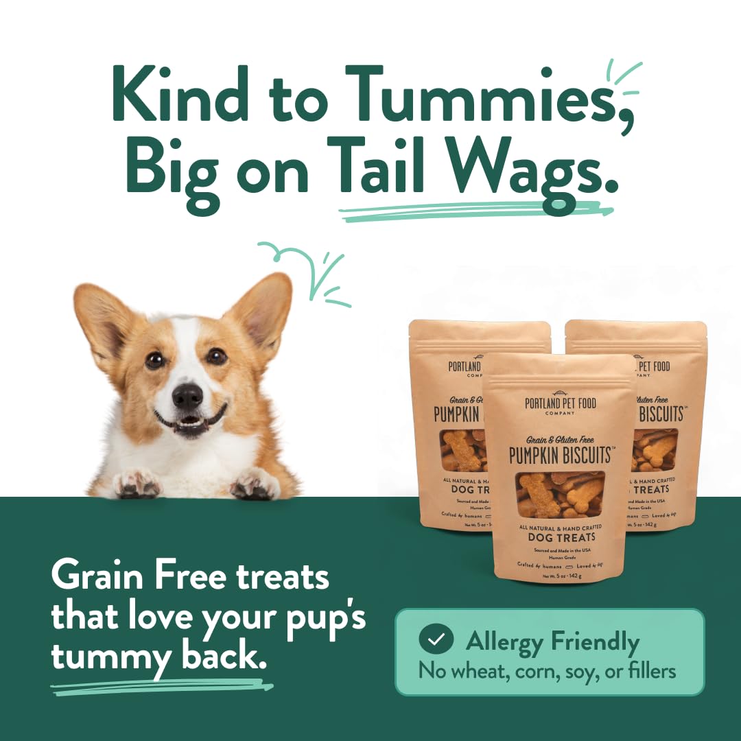 Portland Pumpkin Dog Treats texture close-up shows crunchy biscuits for training sessions