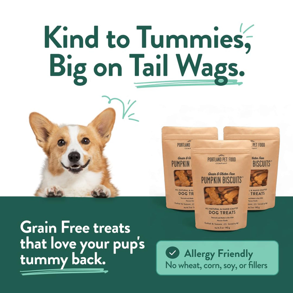 Portland Pumpkin Dog Treats texture close-up shows crunchy biscuits for training sessions