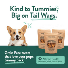 Portland Pumpkin Dog Treats texture close-up shows crunchy biscuits for training sessions