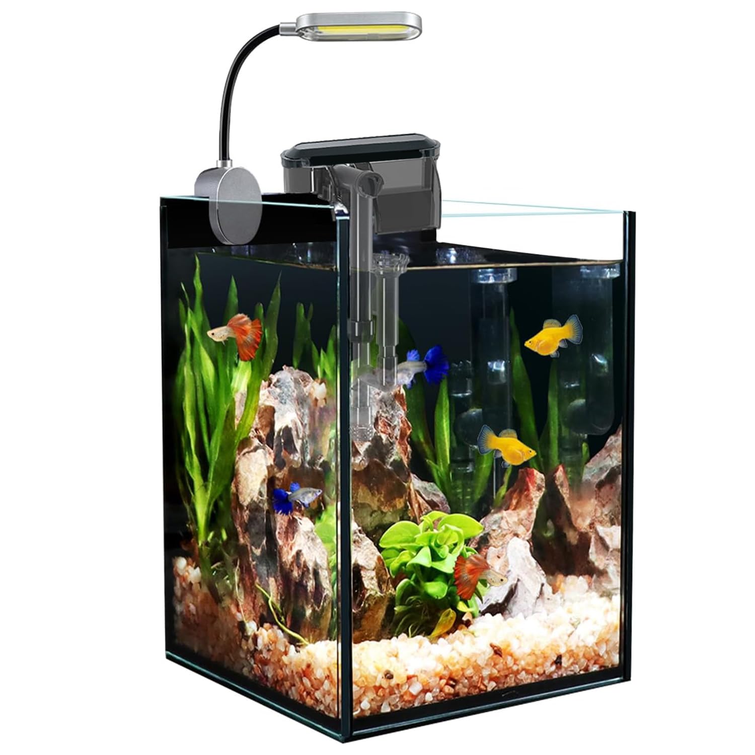 Craftsboys 1.5-gallon tank front view for compact desk setups