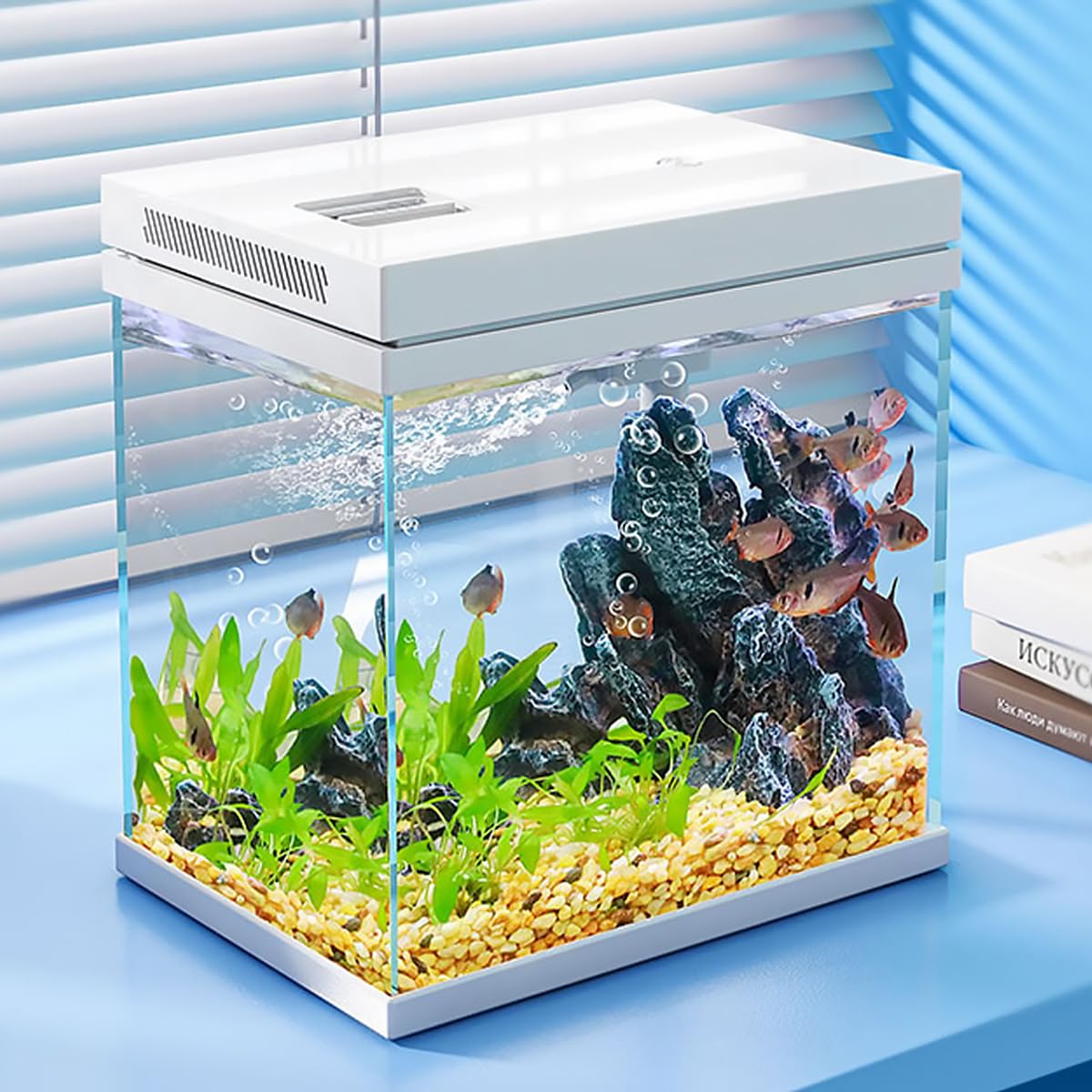 Craftsboys 4gal fish tank front view shows rimless, clear viewing.