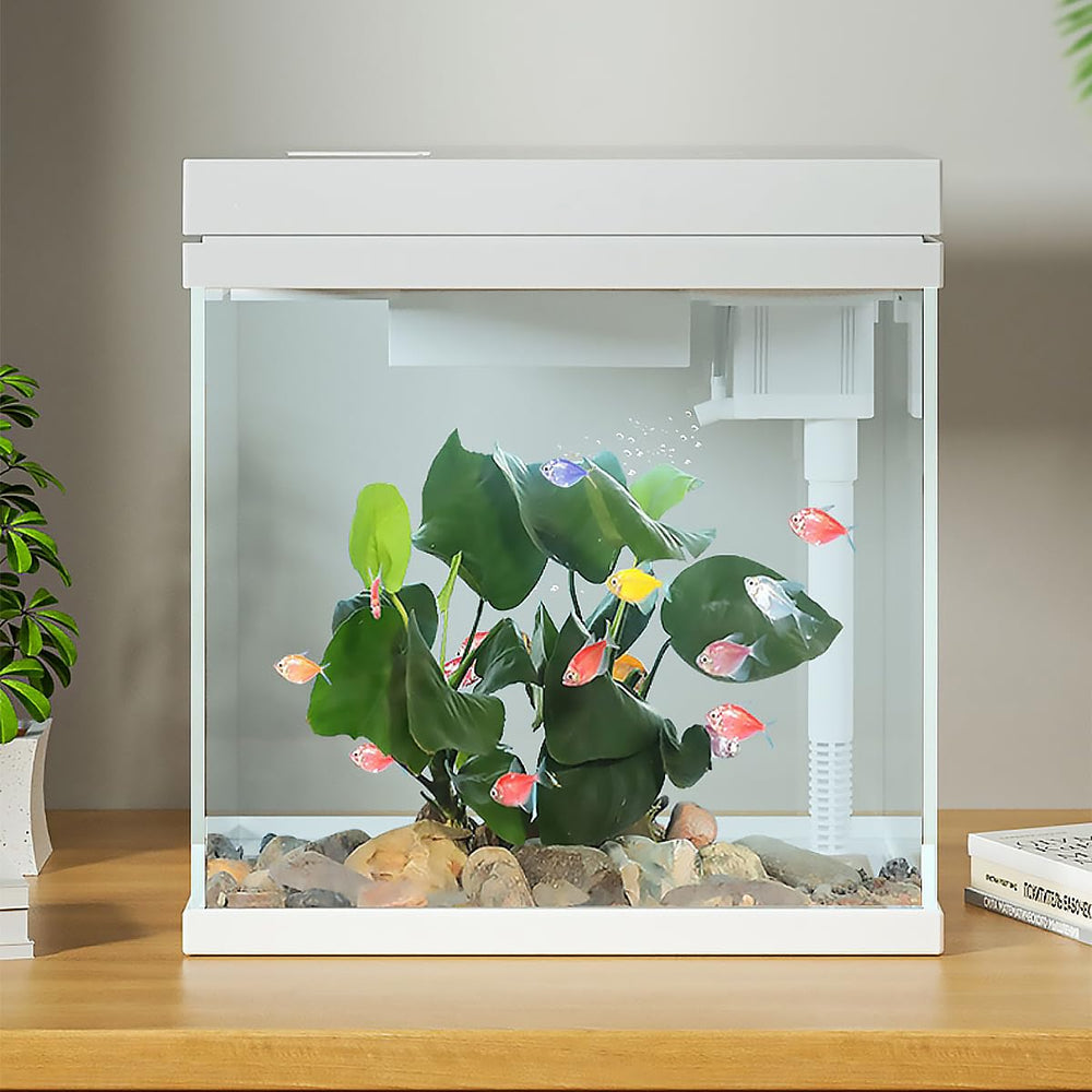 Craftsboys 4gal glass tank closeup reveals sturdy construction.