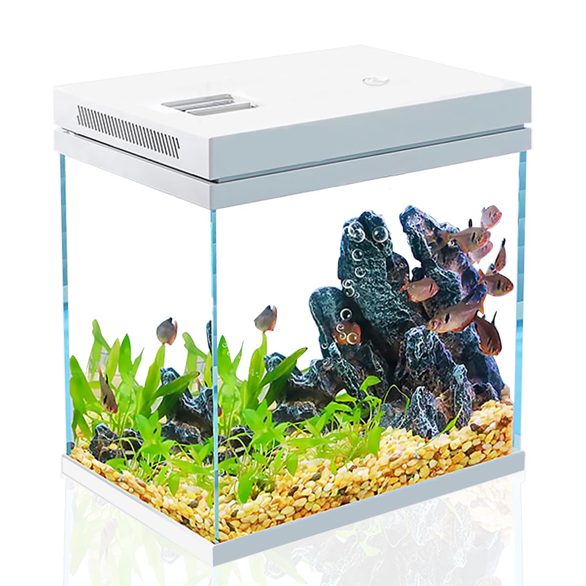 Craftsboys 4gal ready-to-stock setup for quick start.