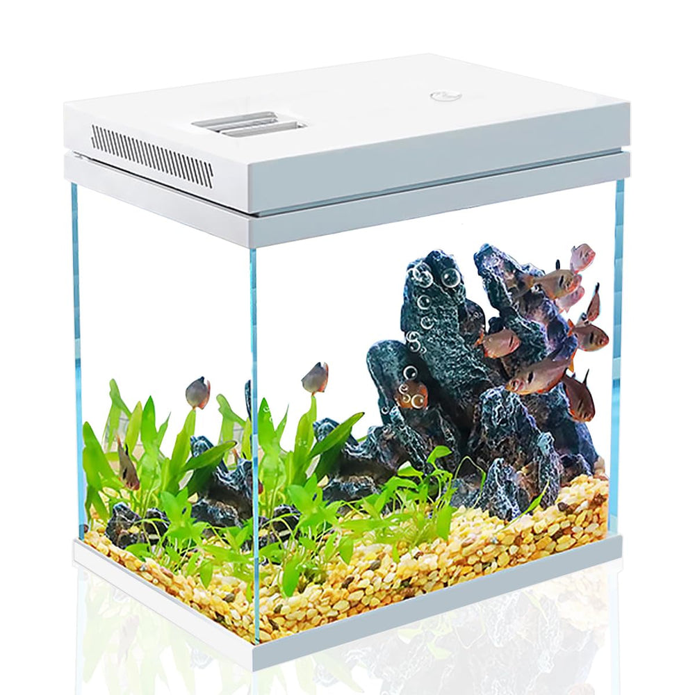 Craftsboys 4gal ready-to-stock setup for quick start.