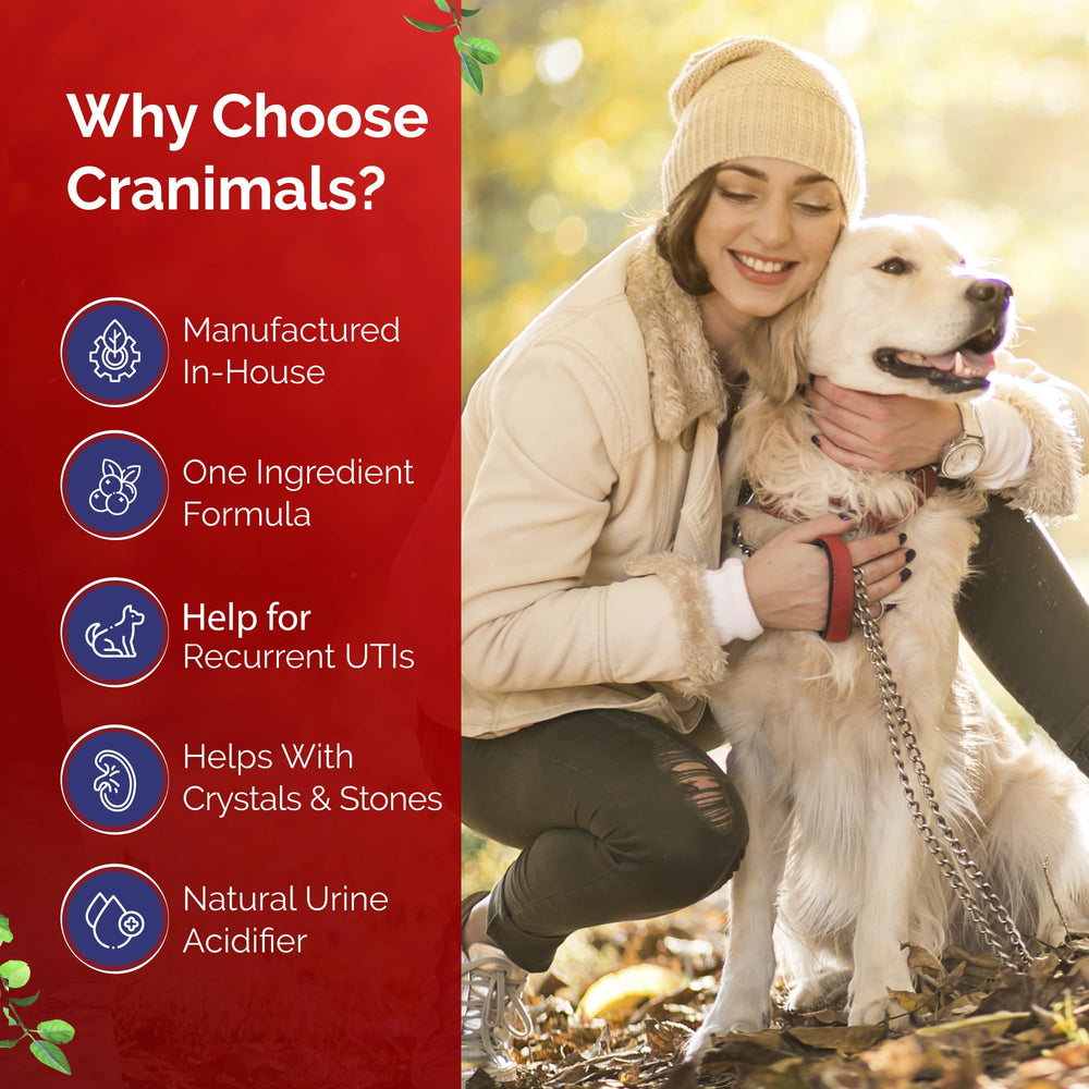 Cranimals cranberry powder being mixed into pet food for convenience
