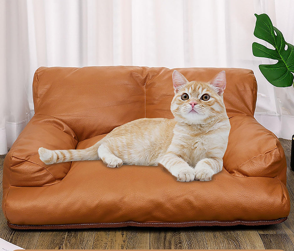 Craoopii Pet Sofa Bed room setup adds a cozy lounge space.