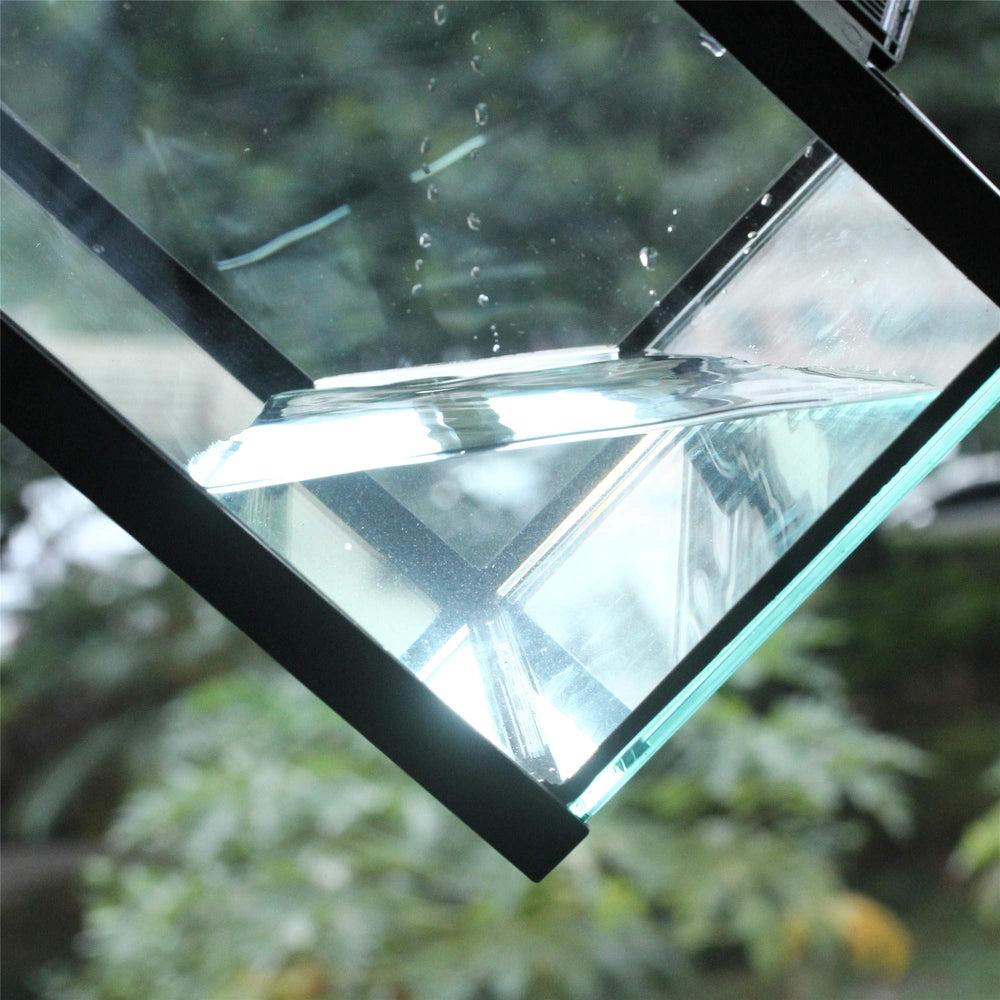 Crapelles small-glass terrarium kit offers 360-degree viewing for immersive observation