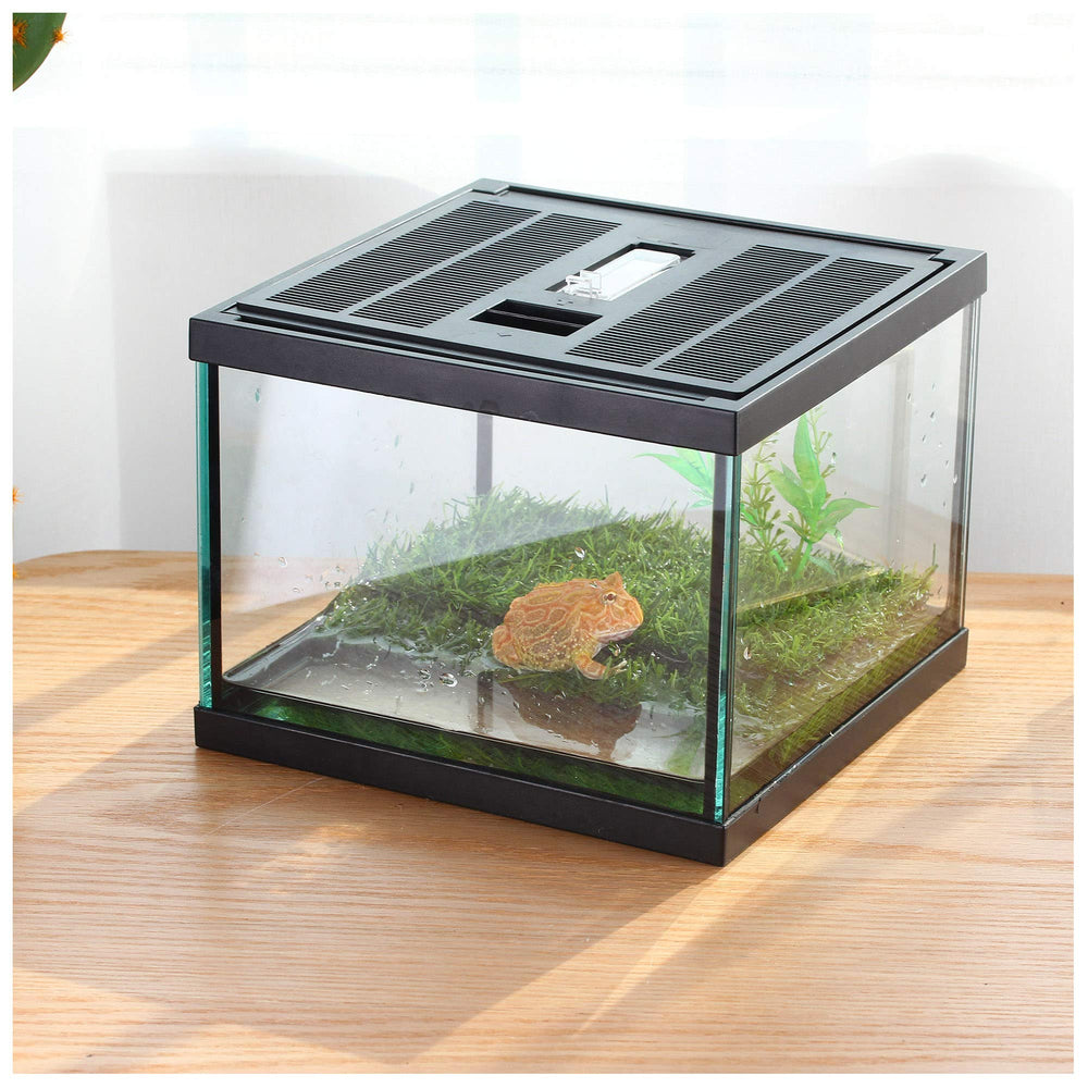 Crapelles desk-friendly terrarium supports pet companionship in compact 1.4-gallon enclosure