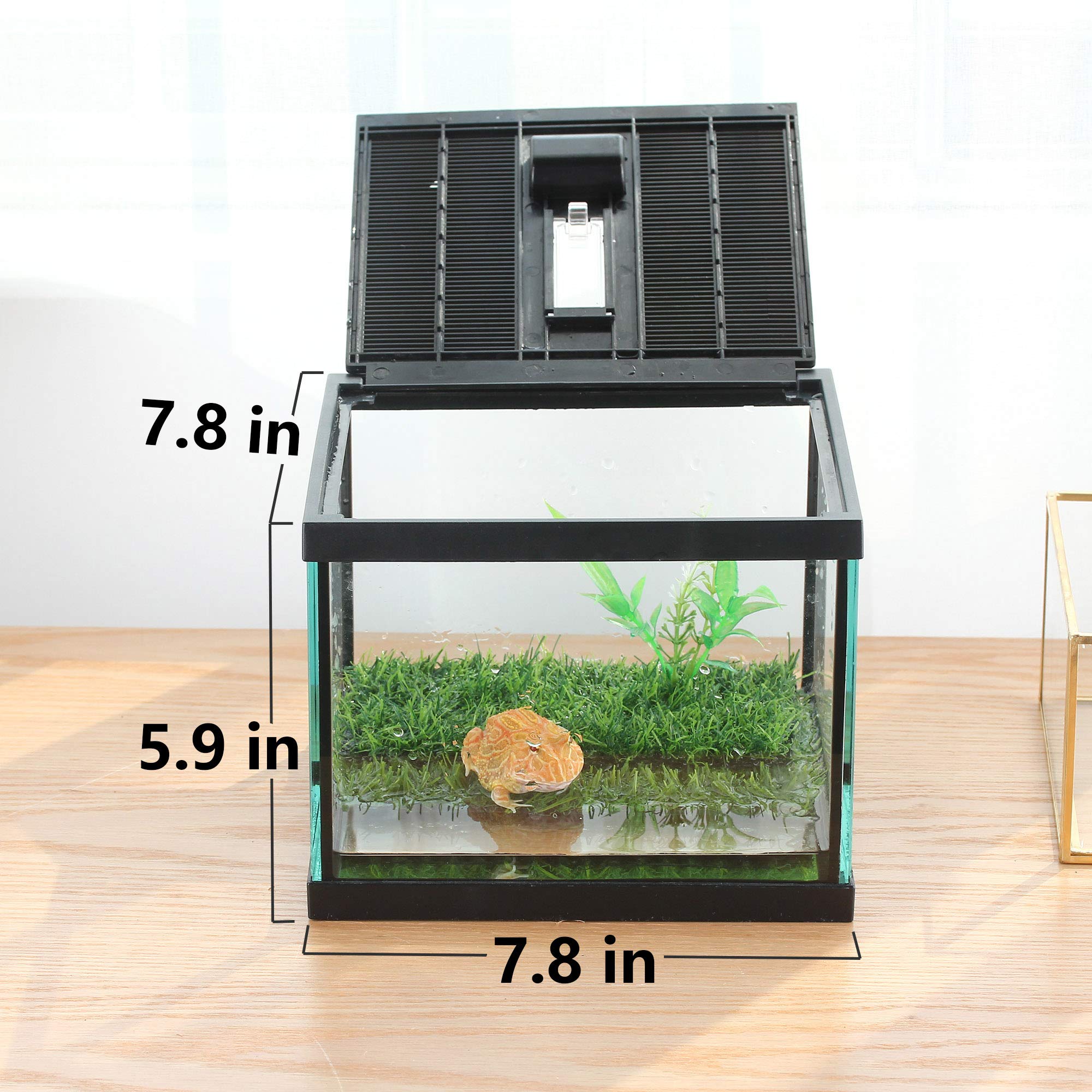 Crapelles small glass frog terrarium kit top ventilation promotes airflow and healthy enclosure