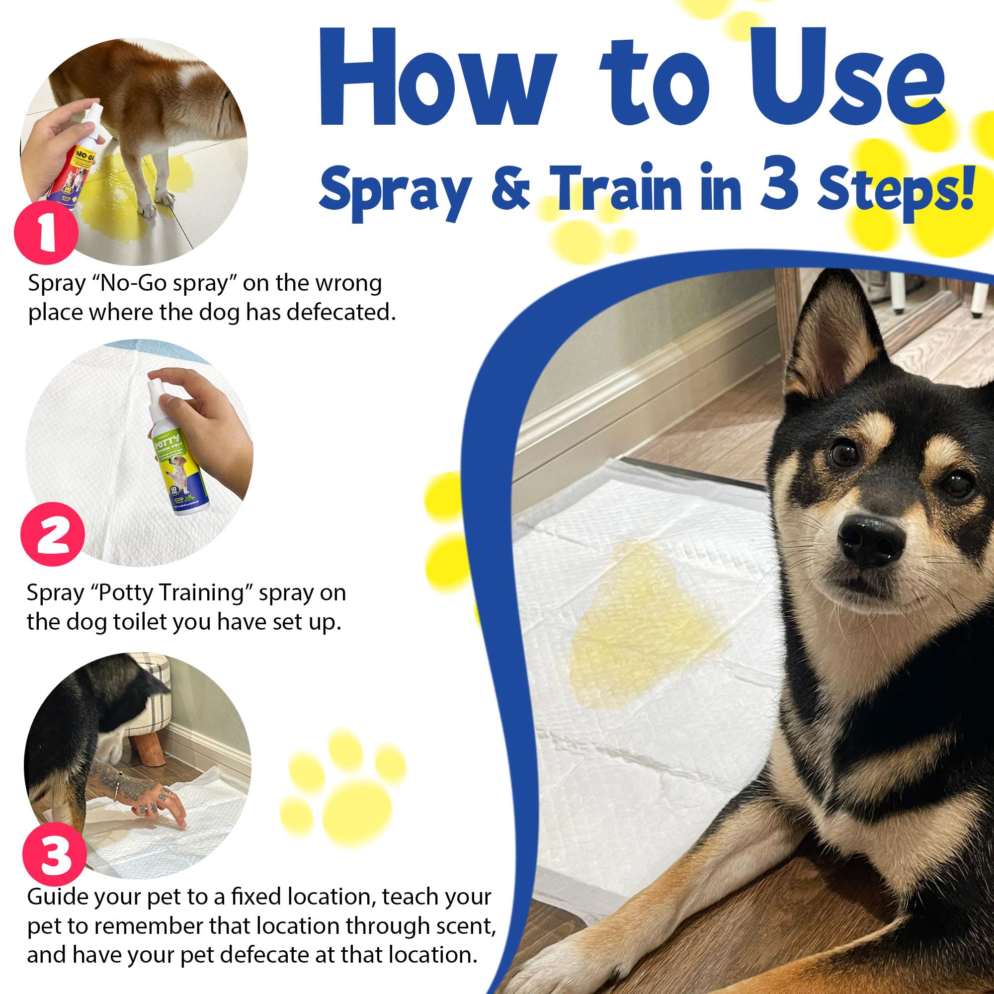 Creimpdoty puppy-training-in-progress supports ongoing routines.