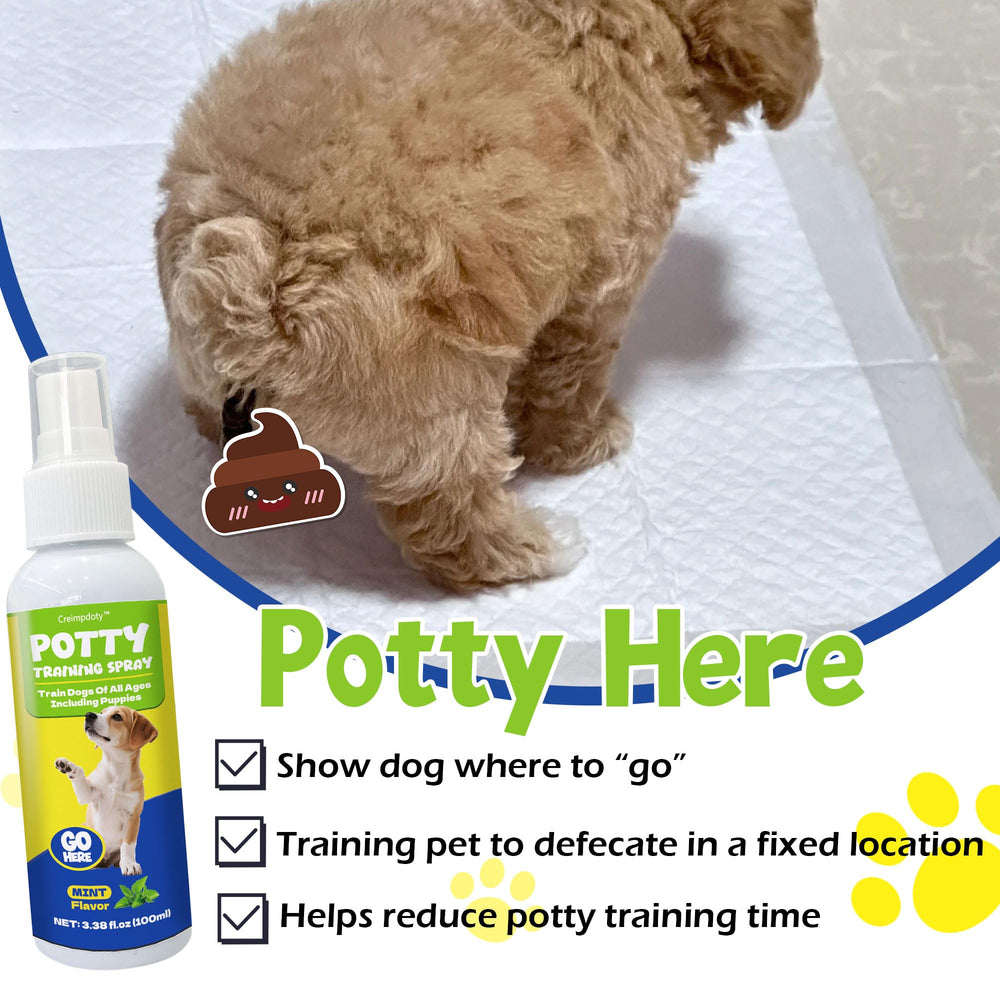 Creimpdoty training guide included supports consistent potty routines.