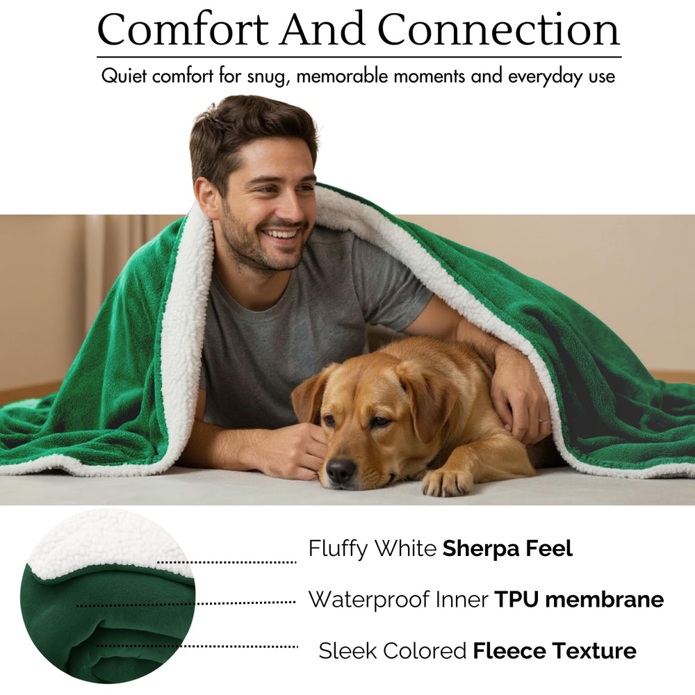 CREW FLX pet-friendly design endures active dogs while protecting furniture