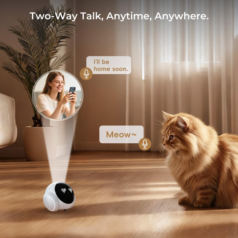 Crigge Magic S1 motion detection sends instant alerts to your phone.