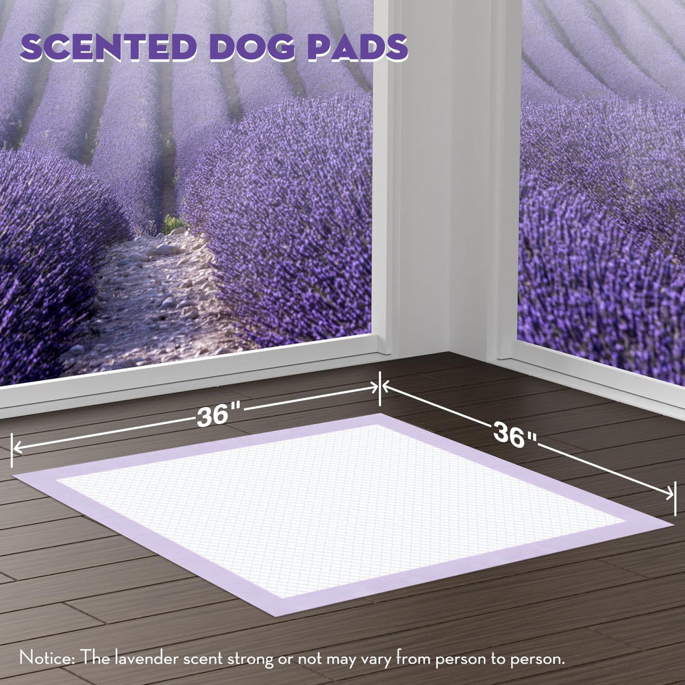 Croci pads adhesive tabs secure placement on floors for stability