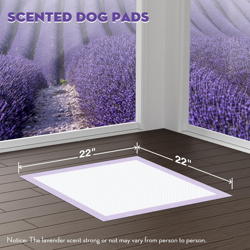 Croci puppy pads adhesive tabs secure pads on floors for stable potty areas.