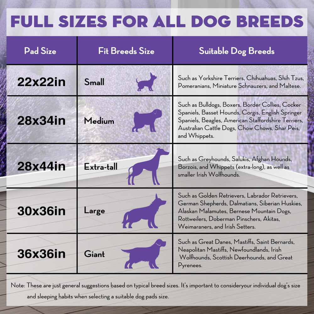 Croci puppy pads disposable 100-count pack emphasizes convenience for ongoing training.