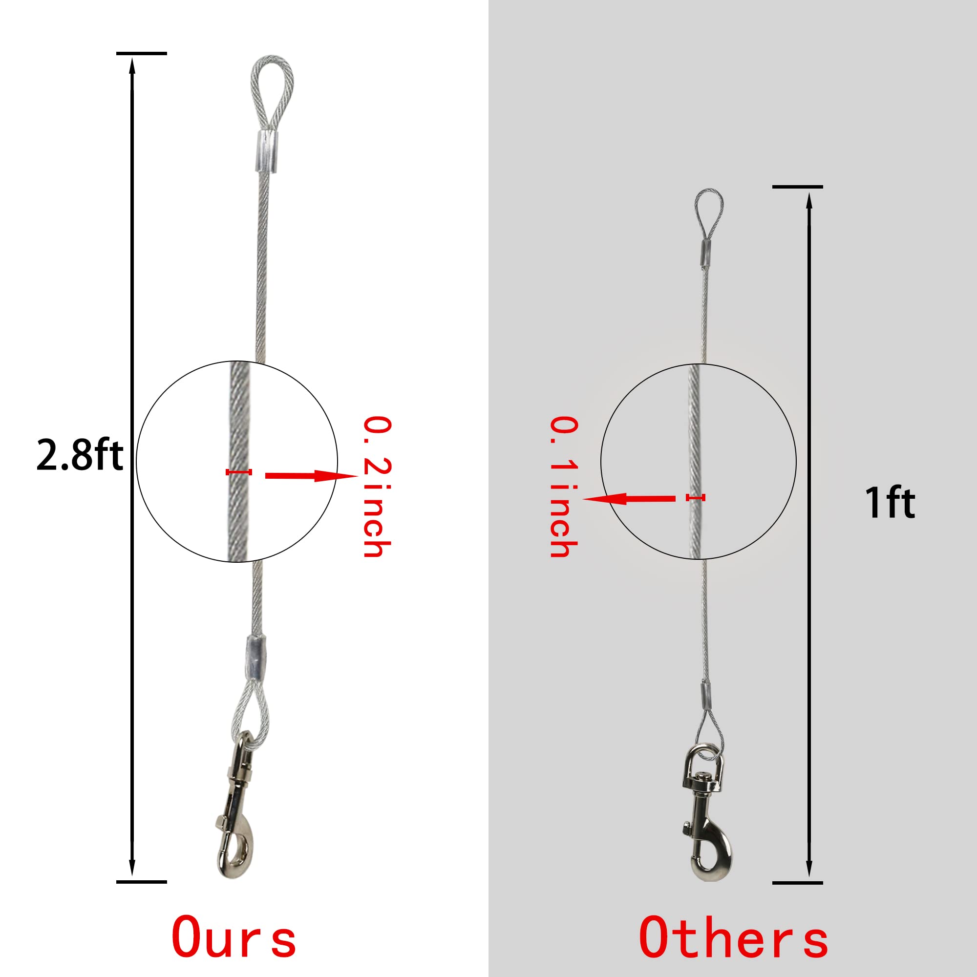 CROWN PAWS anti-chewing wire detail highlights durability for busy dogs.
