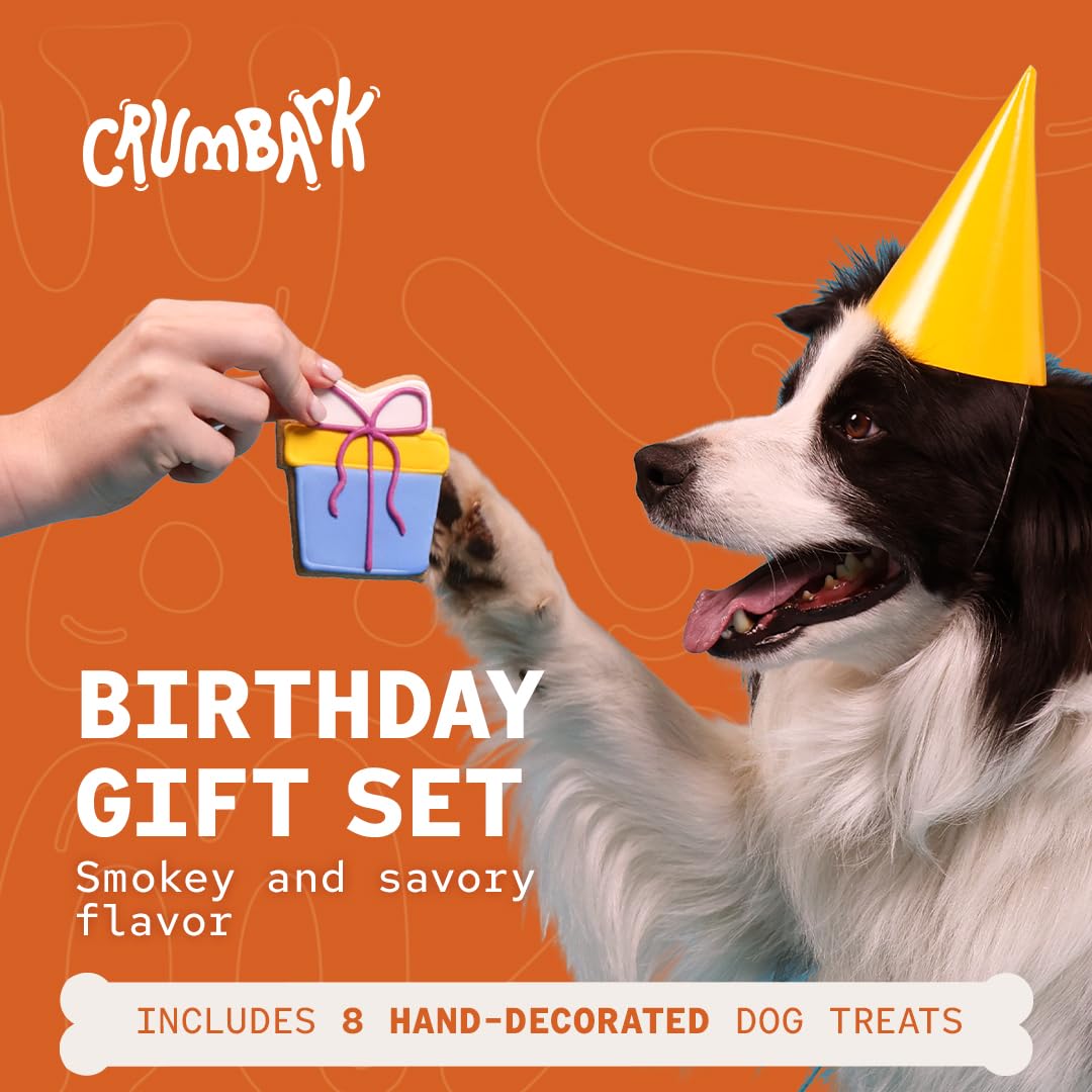 CRUMBARK hand decorated cookies in a festive dog birthday box