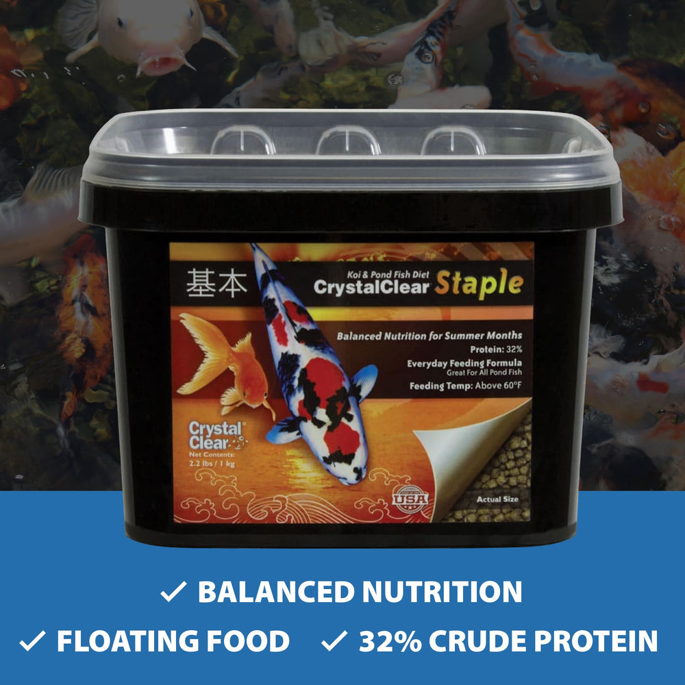 CrystalClear Staple feeding koi and goldfish in a pond.
