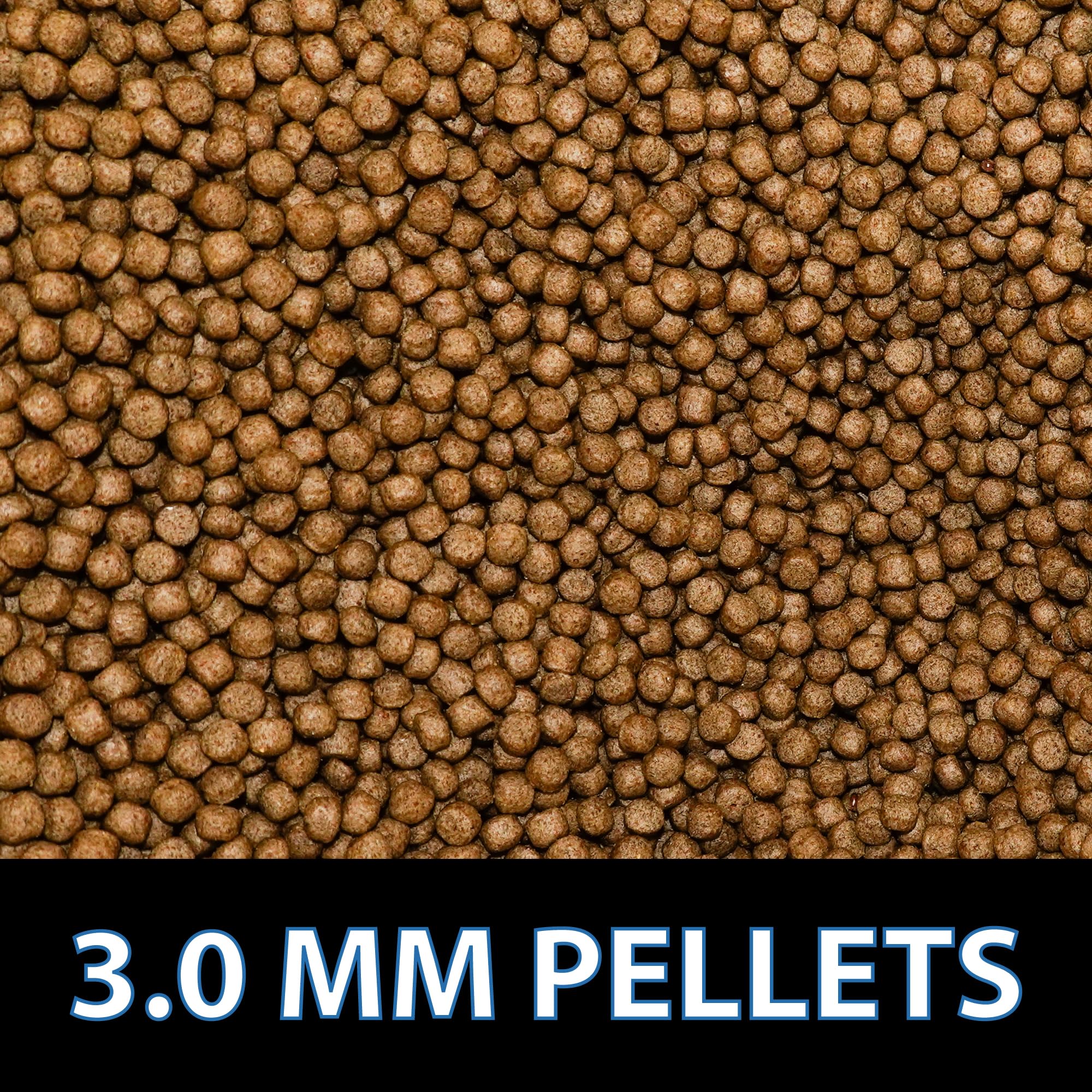 CrystalClear Staple pellets softening in water to aid digestion.