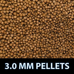 CrystalClear Staple pellets softening in water to aid digestion.