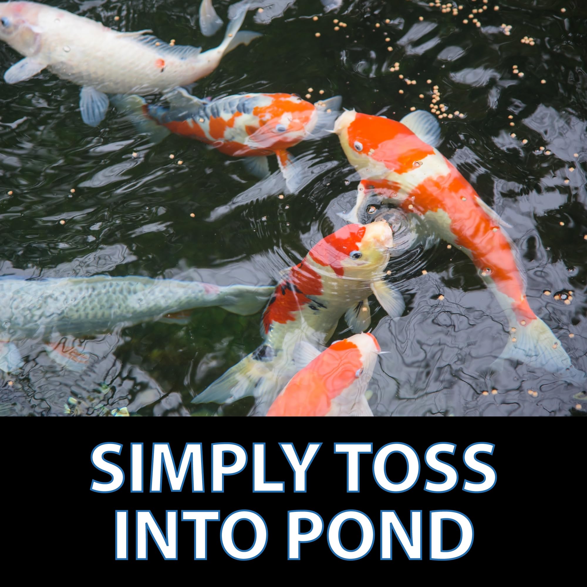 CrystalClear Staple formula designed to be water quality friendly.