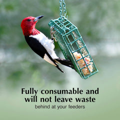 C&S Orange Delight No Melt Suet Dough in a feeder setup for mess-free feeding.