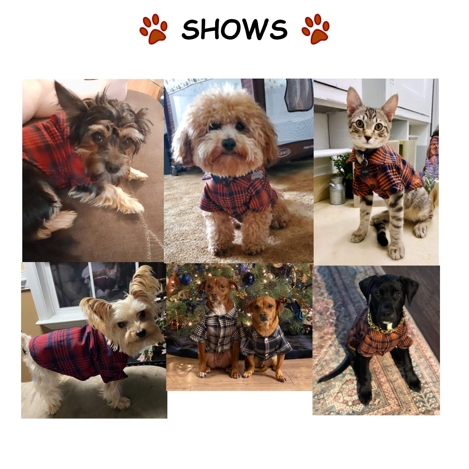 CtilFelix dog shirt plaid blue styling on pet enhances photos and outings