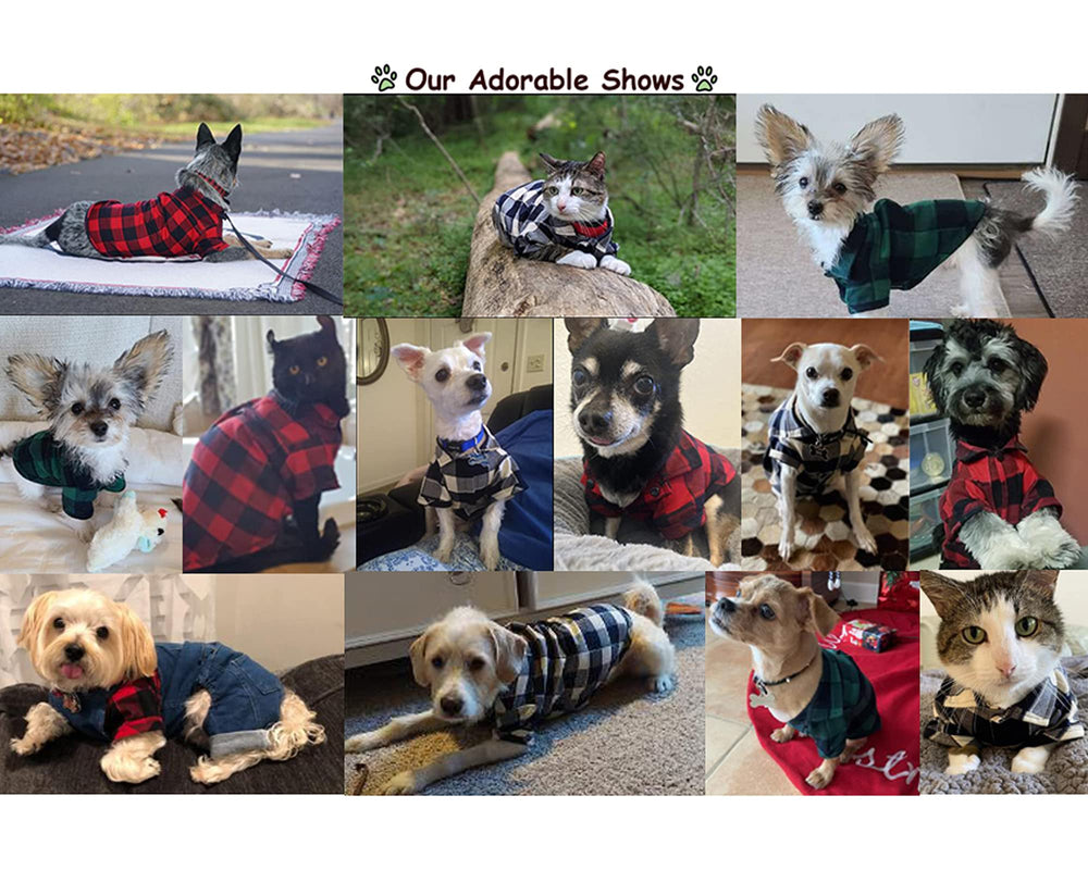 CtilFelix plaid green dog shirt worn on dog demonstrates comfortable fit.