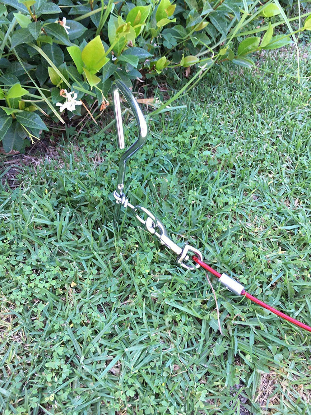 Cuddlerr rust-proof stake durable anchor shows long-lasting performance in yard or park.