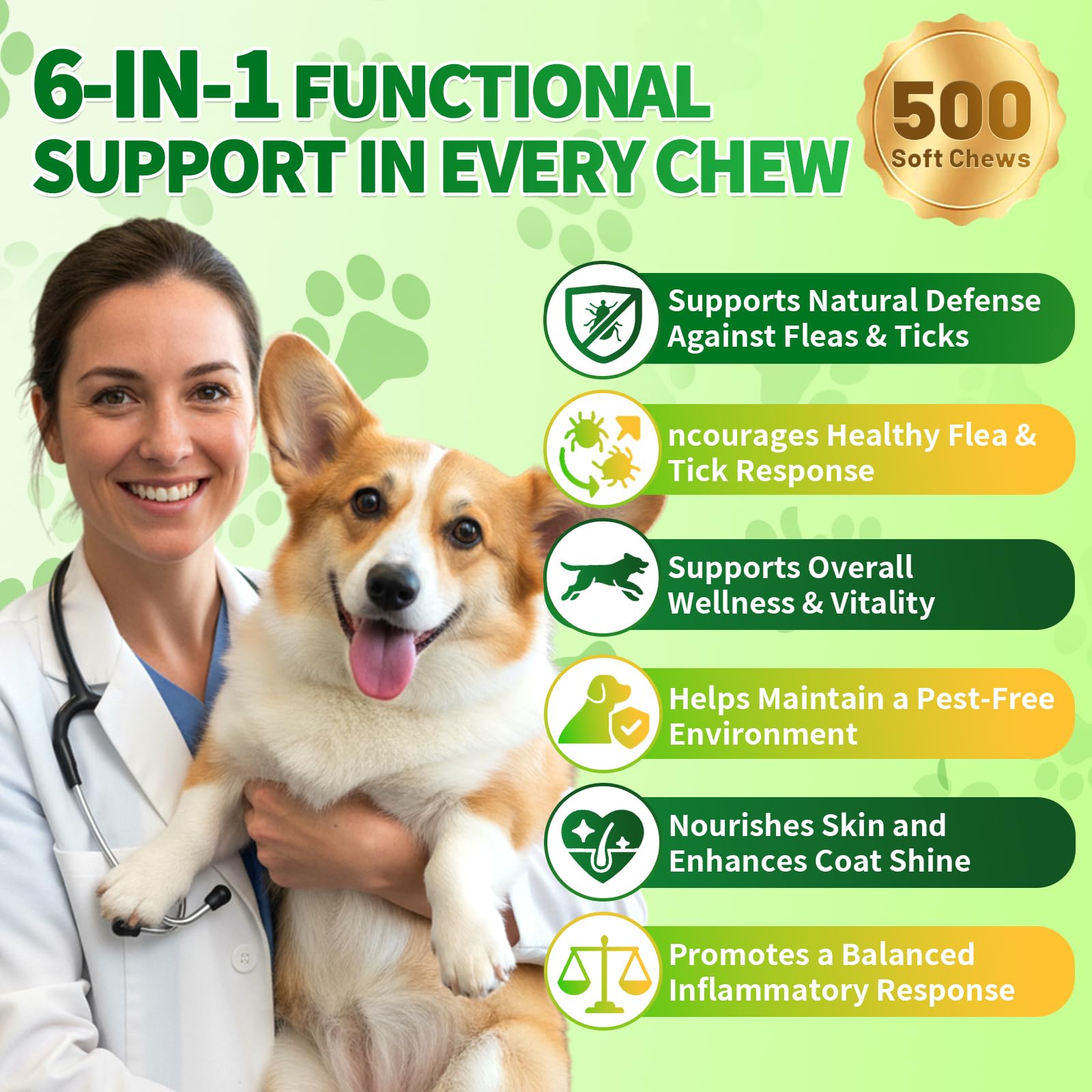 Cudory B-complex vitamins dog supplement bottle shows balanced vitality.